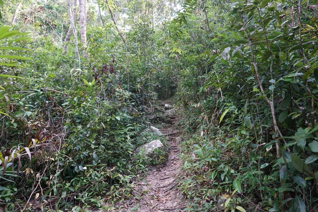 Der Weg zum Last Point führt durch den Dschungel